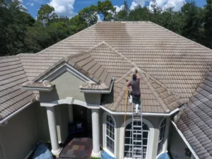 Roof Cleaning