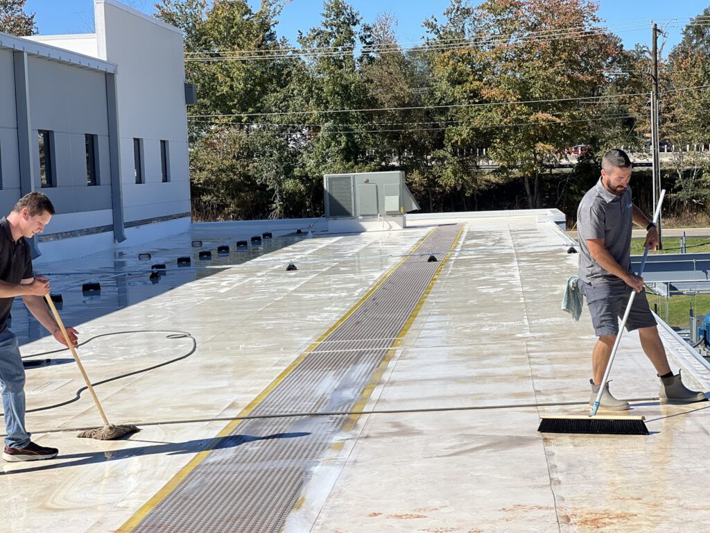 roof cleaning