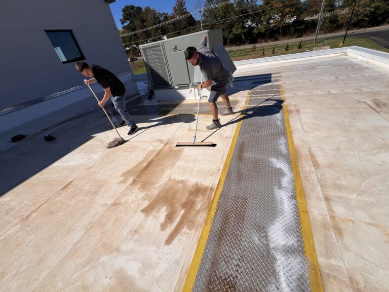 roof cleaning