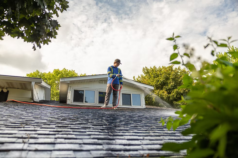 Gutter Cleaning