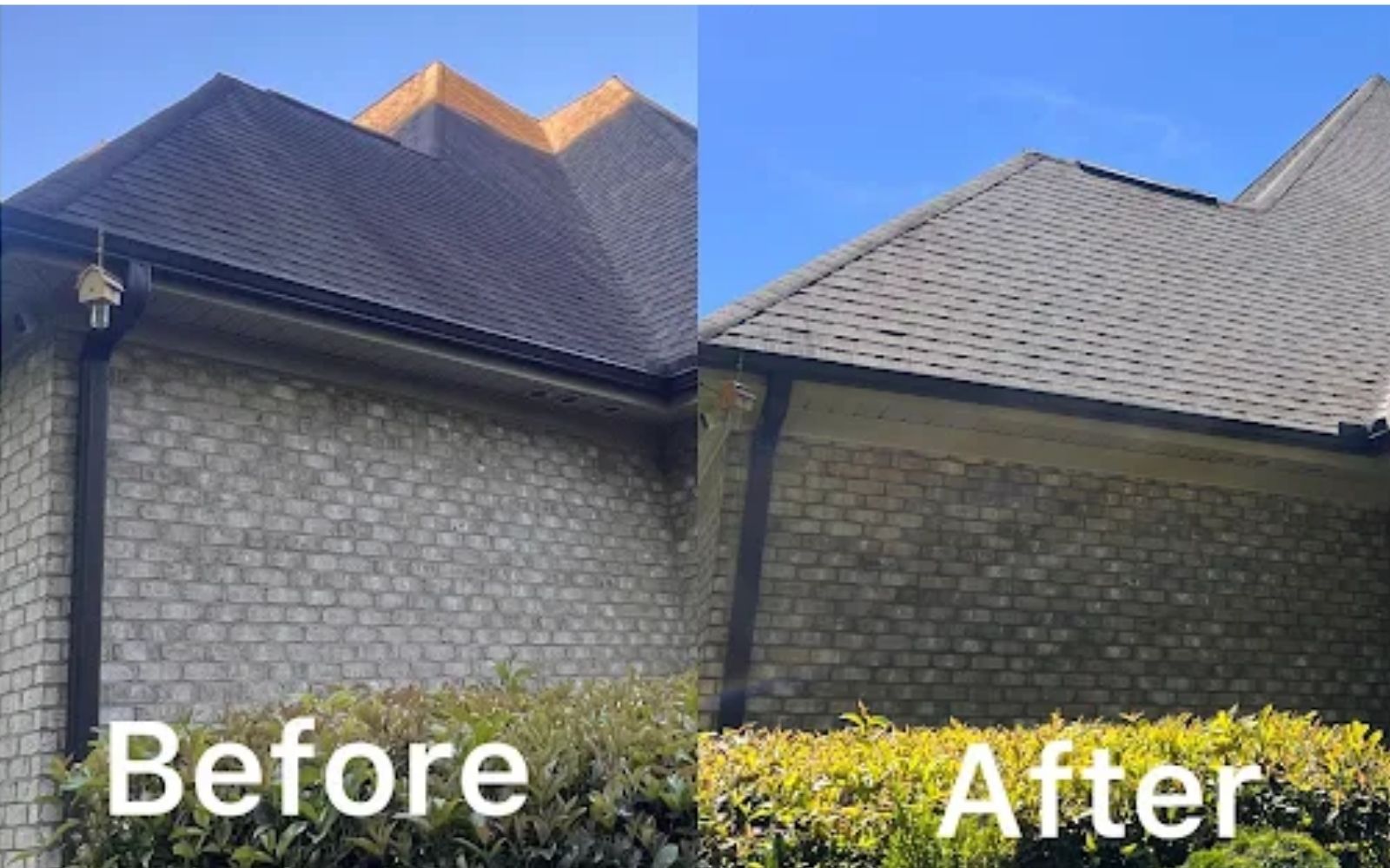 roof before and after