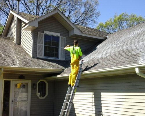 roof washing