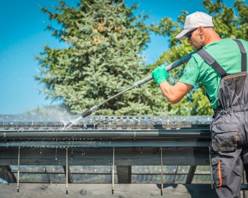 gutter cleaning